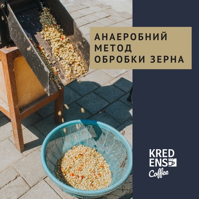 anaerobna-ta-aerobna-obrobka-kavy-vidminnosti-ta-vplyv-na-smak