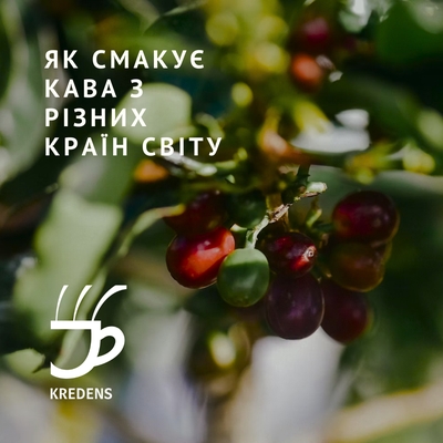 smak-kavy-z-ryznykh-krayin-svitu